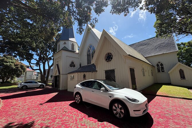 Wellington Full Day Private Tour in Electric Tesla SUV - Mount Victoria’s 360-degree view