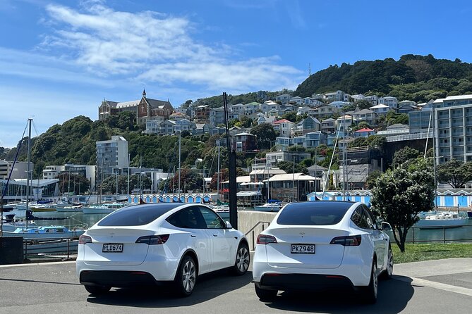 Wellington Full Day Private Tour in Electric Tesla SUV - Cuba Street for food, drink, and local character