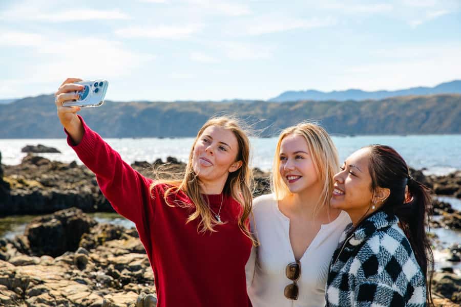 Wellington: Guided City Tour with Cable Car Ticket - Guides, vehicles, and the human touch