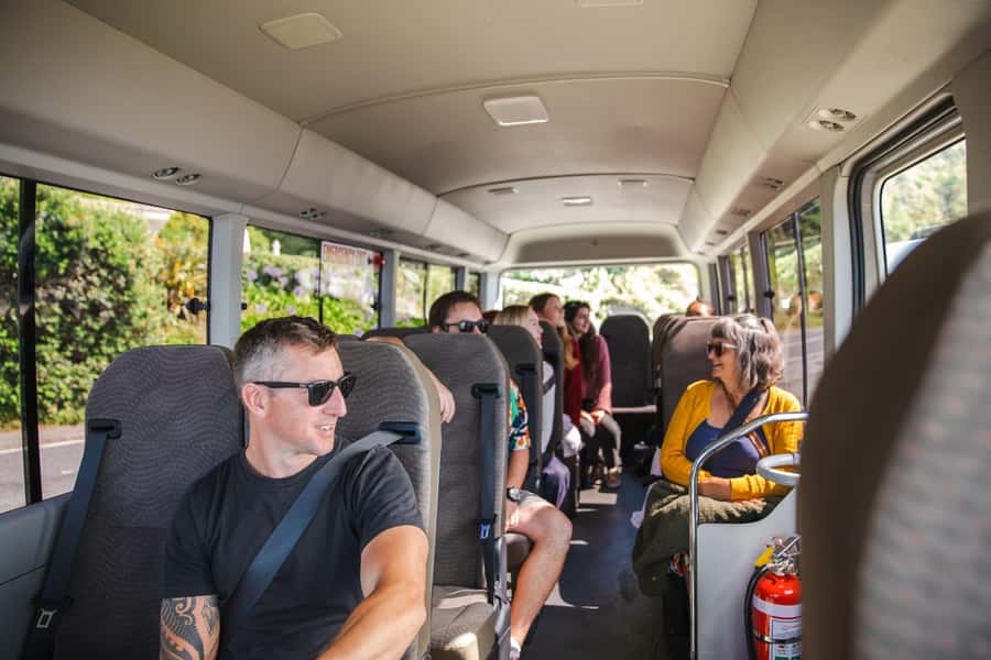 Wellington: Guided City Tour with Cable Car Ticket - The South Coast and weather-dependent views