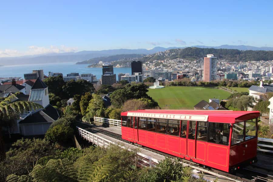 Wellington: Guided City Tour with Cable Car Ticket - Courtenay Place, Cuba Street, and Wellington’s everyday life