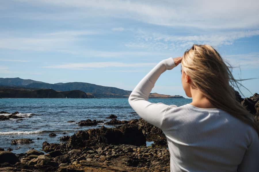 Wellington: Guided City Tour with Cable Car Ticket - From the port to Oriental Bay