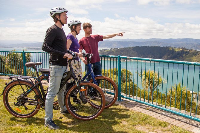 Wellington Guided eBike Tour-Cruise Shore Excursion - Why an e-bike is the smart way to see Wellington