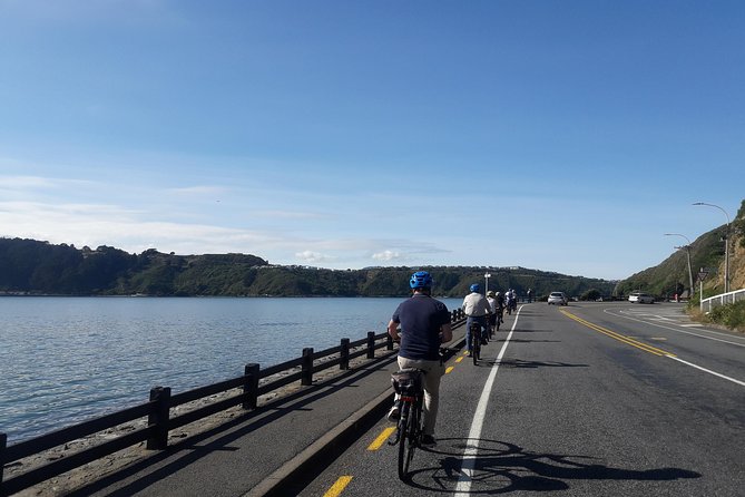 Wellington Guided eBike Tour-Cruise Shore Excursion - Solace in the Wind and Oriental Bay