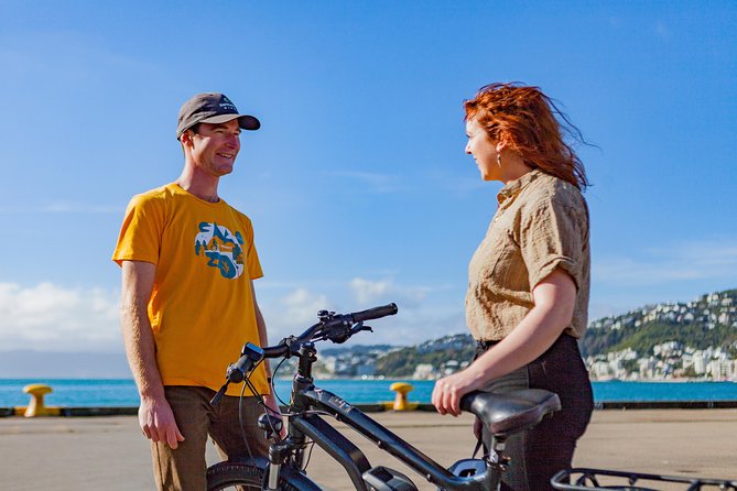 Wellington Guided eBike Tour-Cruise Shore Excursion - The Zephyrometer and the café pause