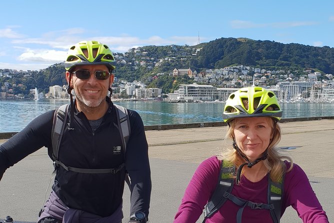 Wellington Guided eBike Tour-Cruise Shore Excursion - Along the coast beneath Mount Victoria