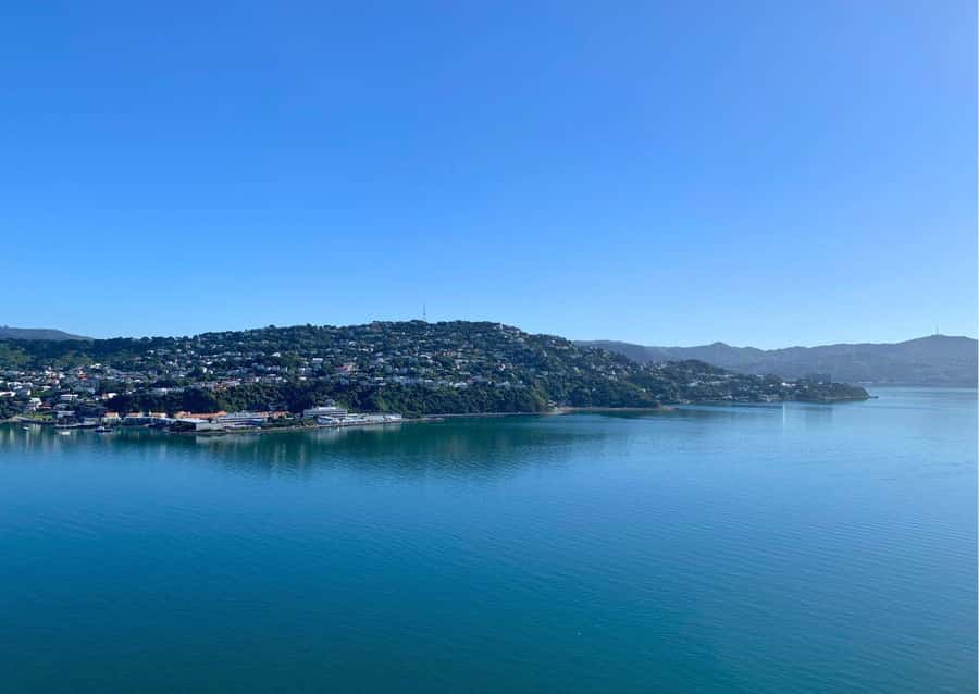 Wellington: Guided Sightseeing Tour by Electric Bike - How much value do you get for $116?