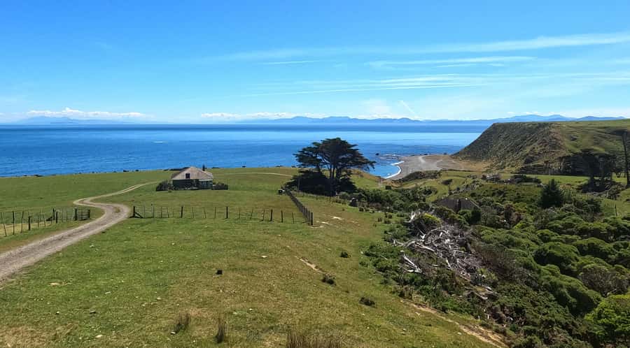 Wellington: Half Day Seal Coast Safari - Weather, comfort, and what to bring