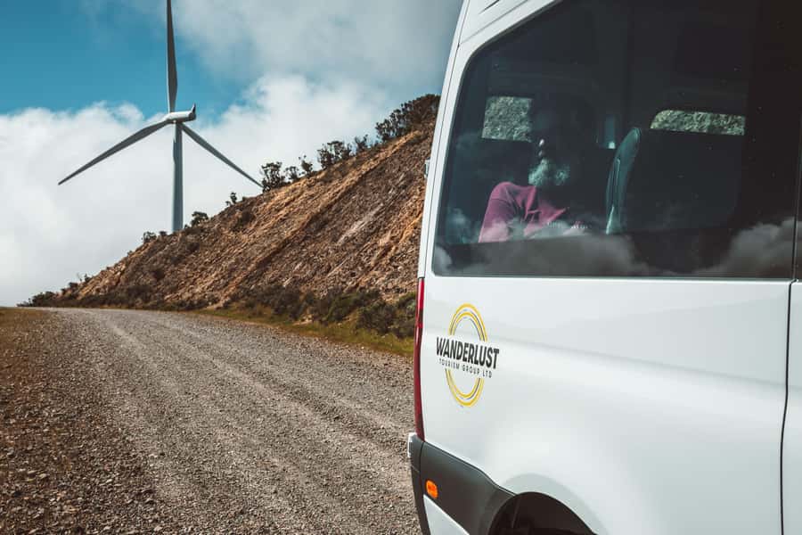 Wellington: Half Day Seal Coast Safari - The return journey and the value of the route