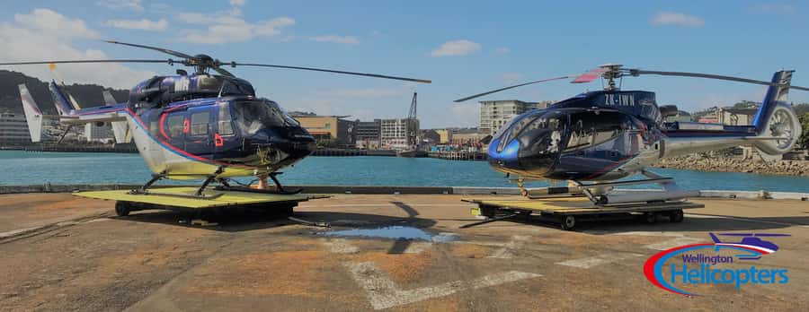 Wellington Helicopter Scenic Flight - Key points at a glance
