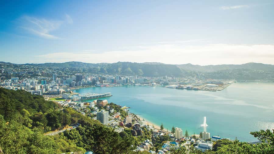 Wellington Helicopters Scenic Harbour Flight - Wellington’s earthquake-shaped terrain