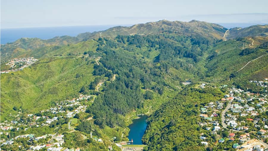 Wellington Helicopters Scenic Harbour Flight - Is $178 good value for 15 minutes?