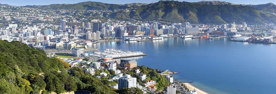 Wellington: Lord of the Rings Half-Day Guided Tour inc Weta - Weta Cave is the tour’s biggest value