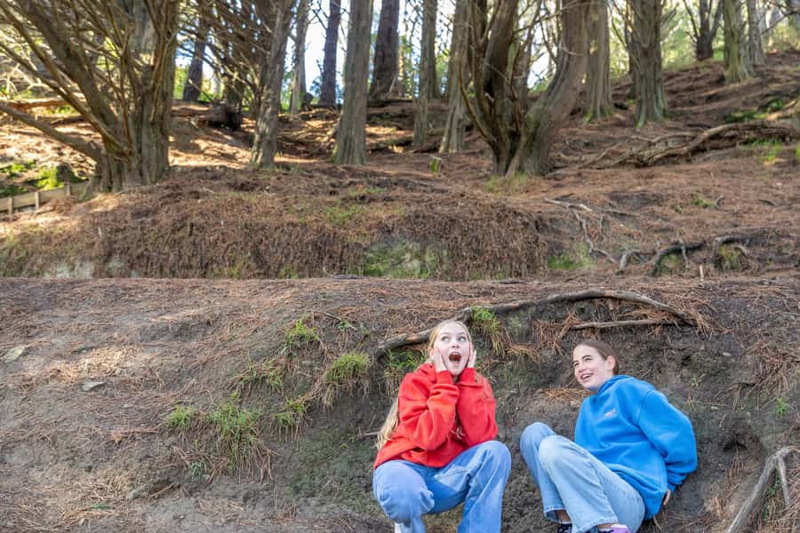 Wellington: Lord of the Rings Half-Day Guided Tour inc Weta - Who will enjoy this tour most?
