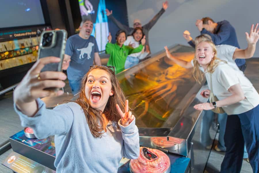 Wellington: Museum of NZ General Admission - Who Should Book Te Papa General Admission?