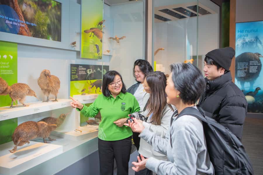Wellington: Museum of NZ Intro Tour & General Admission - Key points to know before you book