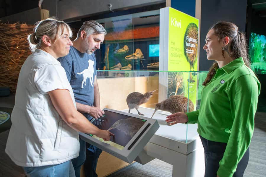 Wellington: Museum of NZ Intro Tour & General Admission - Why Te Papa is worth seeing with a guide
