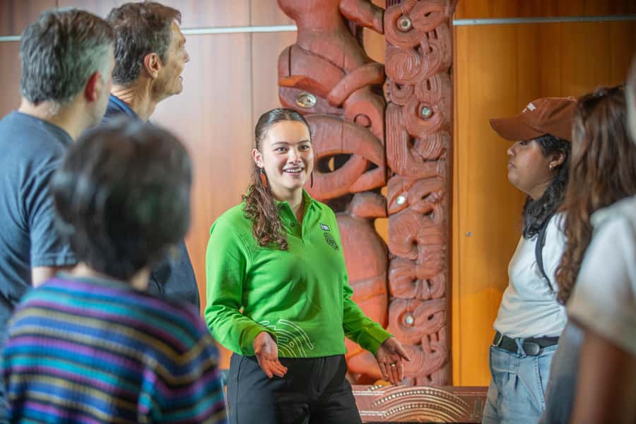 Wellington: Museum of NZ Intro Tour & General Admission - The one-hour introduction: what you will see
