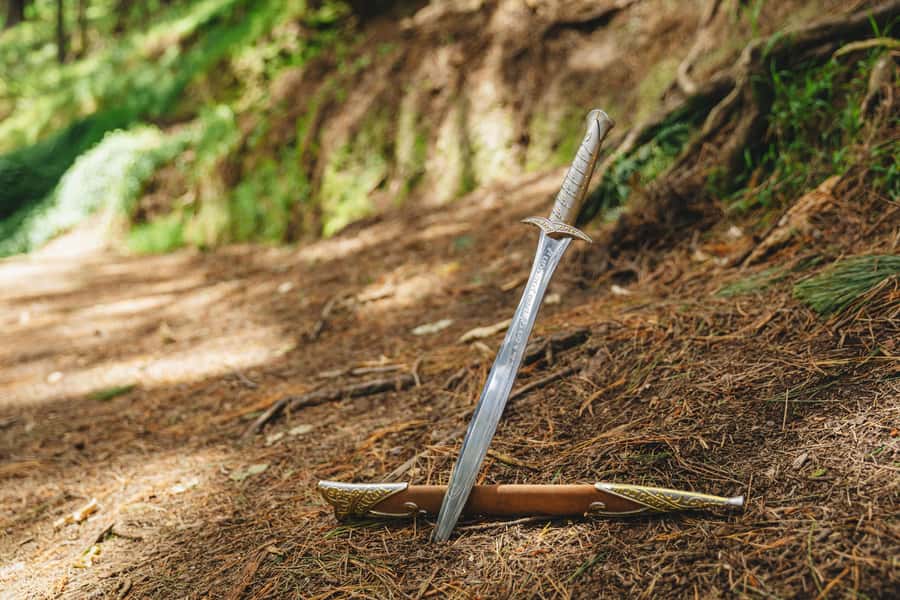 Wellington: Original LOTR Half-Day Experience with Weta - Is four hours enough?