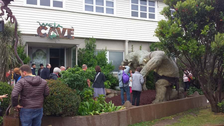 Wellington: Private Day Tour with Lunch - Key points at a glance