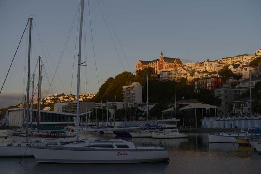 Wellington: Private Day Tour with Lunch - Why this private Wellington tour works