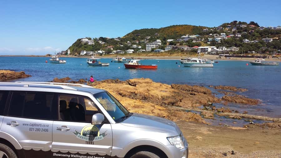 Wellington: Private Day Tour with Lunch - Mt Victoria puts Wellington in context
