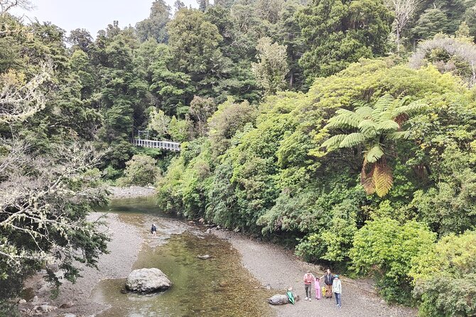 Wellington Region Full Day Private Tour: Get out of the City - Paekākāriki Hill and Battle Hill Farm Forest Park