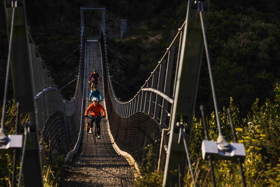 Wellington: Remutaka Rail Trail Cycle Tour - From Wellington Station to Kaitoke in 45 minutes