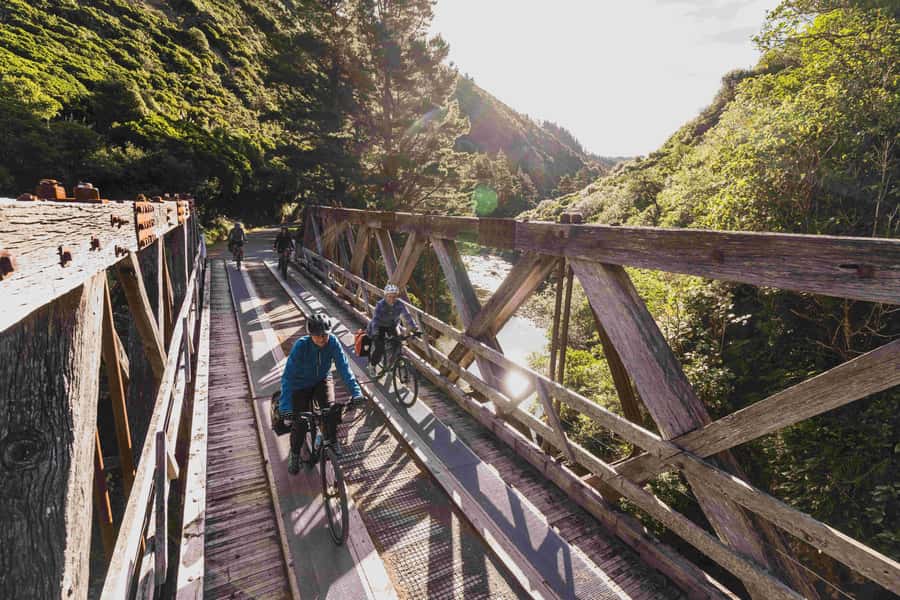 Wellington: Remutaka Rail Trail Cycle Tour - The summit plateau and picnic lunch