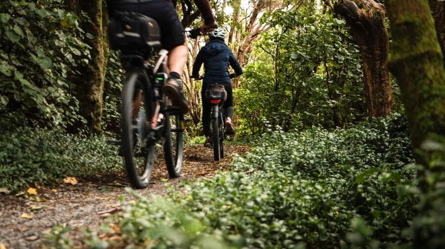 Wellington: Remutaka Rail Trail Cycle Tour - Weather can change the day
