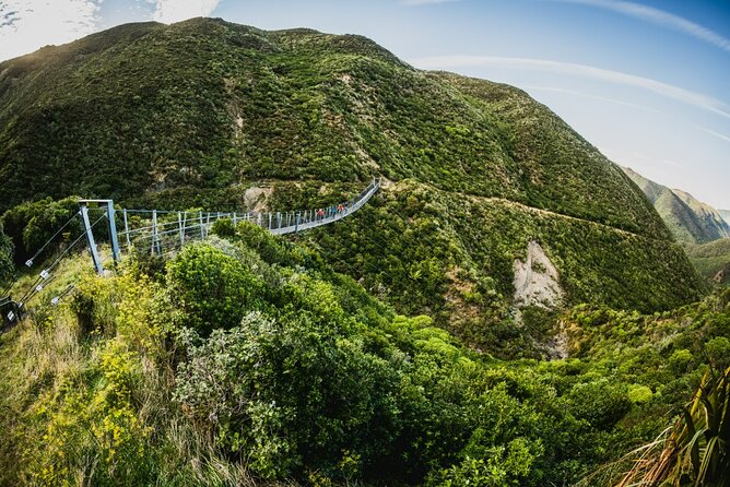 Wellington Remutaka Rail Trail eBike Cycle Tour - Starting at Kaitoke and entering Pakuratahi Forest