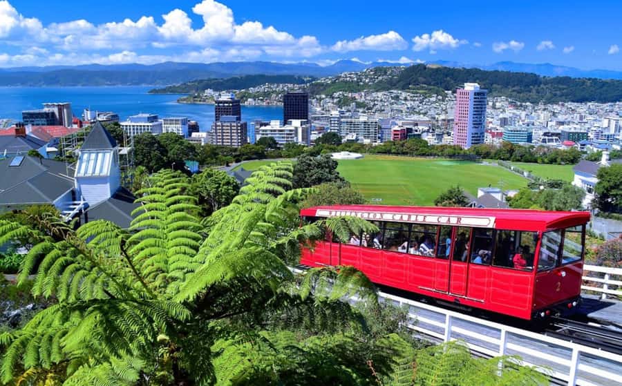 Wellington: Return Cable Car Ticket - Walking the Botanic Garden Instead of Riding Down