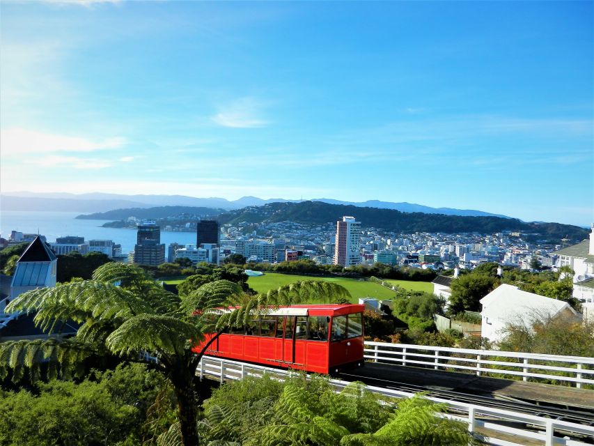 Wellington: Return Cable Car Ticket - The Cable Car Museum: Small, Useful, and Free of Fuss
