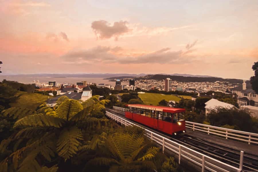 Wellington: Return Cable Car Ticket - Is the Return Ticket Good Value at $7?