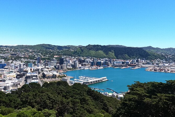 Wellington's Original HD LOTR Experience - includes Weta Tour - Mount Victoria forest scenes and the Outer Shire