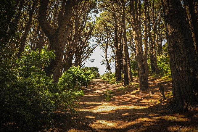 Wellington's Original HD LOTR Experience - includes Weta Tour - The guides make or break the experience