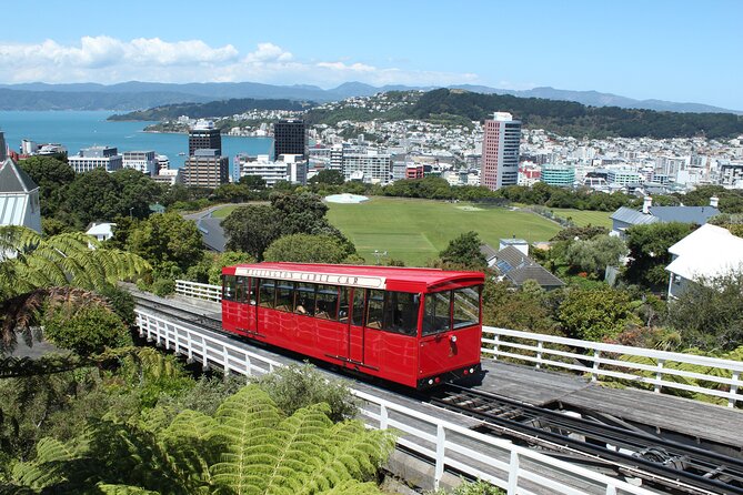 Wellington Scenic Full Day Tour - Key things to know before you book