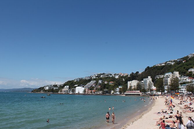 Wellington Scenic Full Day Tour - Massey Memorial and the eastern bays