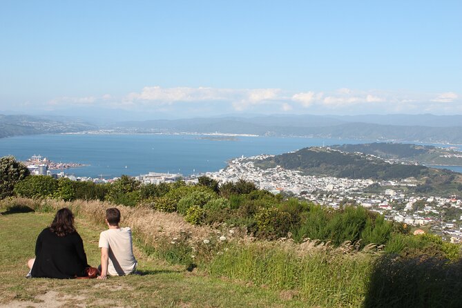 Wellington Scenic Full Day Tour - Lunch at Scorch O Rama