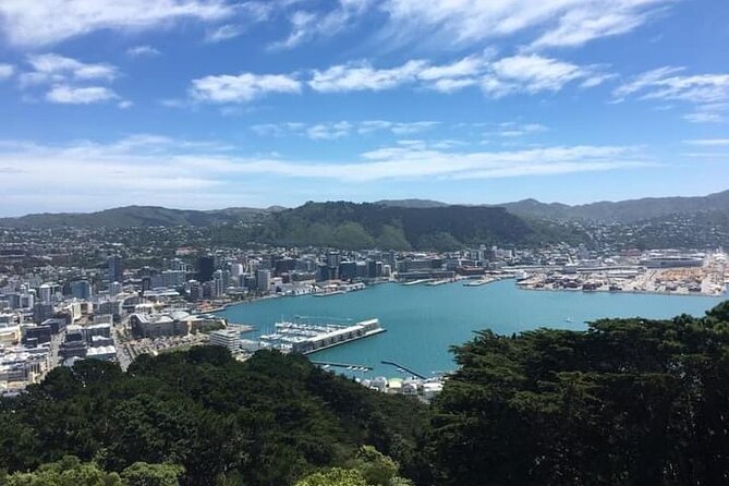 Wellington Scenic Full Day Tour - Cable car and Lady Norwood Rose Garden