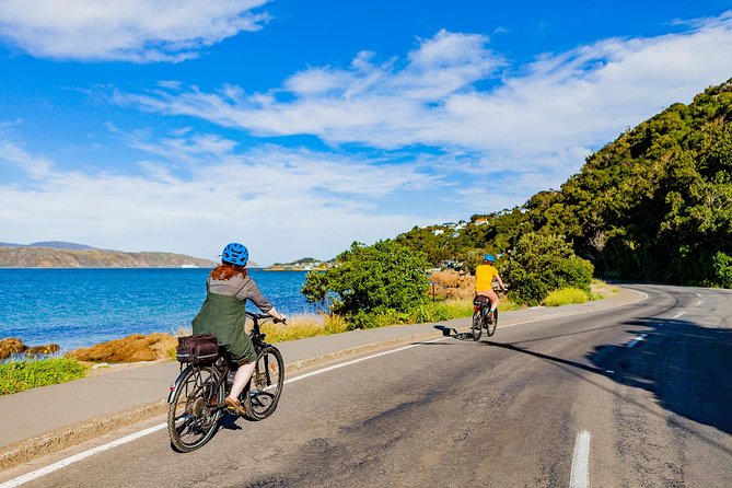 Wellington Self-Guided Electric Bike Tour - Lyall Bay mixes beach life with airport views
