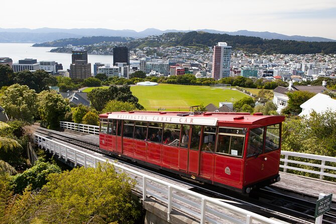 Wellington Shore Excursion City Sightseeing Tour - Key points to know before you book