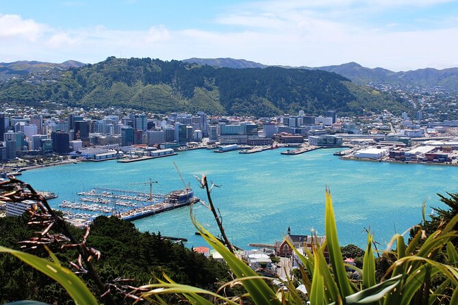 Wellington Shore Excursion City Sightseeing Tour - Mount Victoria lookout and Wellington Harbour
