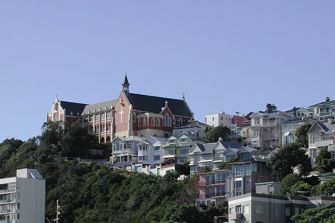 Wellington Shore Excursion City Sightseeing Tour - Why the guide matters more than the vehicle