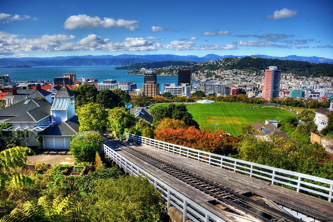 Wellington Shore Excursion City Sightseeing Tour - Timing, port logistics, and the real value of the price
