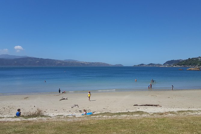 Wellington Shore Excursion: From Cave to Coast Highlights Private Tour - Cable car and Botanical Gardens options