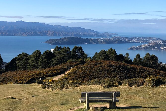 Wellington: Wild Skyline Guided Hiking Tour, Transfers + Lunch - Key points about Wellington’s Wild Skyline hike