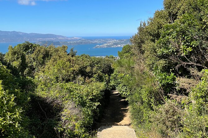 Wellington: Wild Skyline Guided Hiking Tour, Transfers + Lunch - A five-hour outing built around the Skyline Walkway