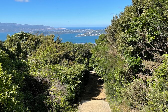 Wellington: Wild Skyline Guided Hiking Tour, Transfers + Lunch - Transfers make the point-to-point route much easier