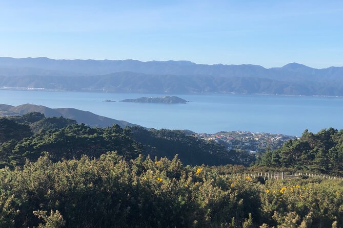 Wellington: Wild Skyline Guided Hiking Tour, Transfers + Lunch - The guide’s local stories add more than route finding